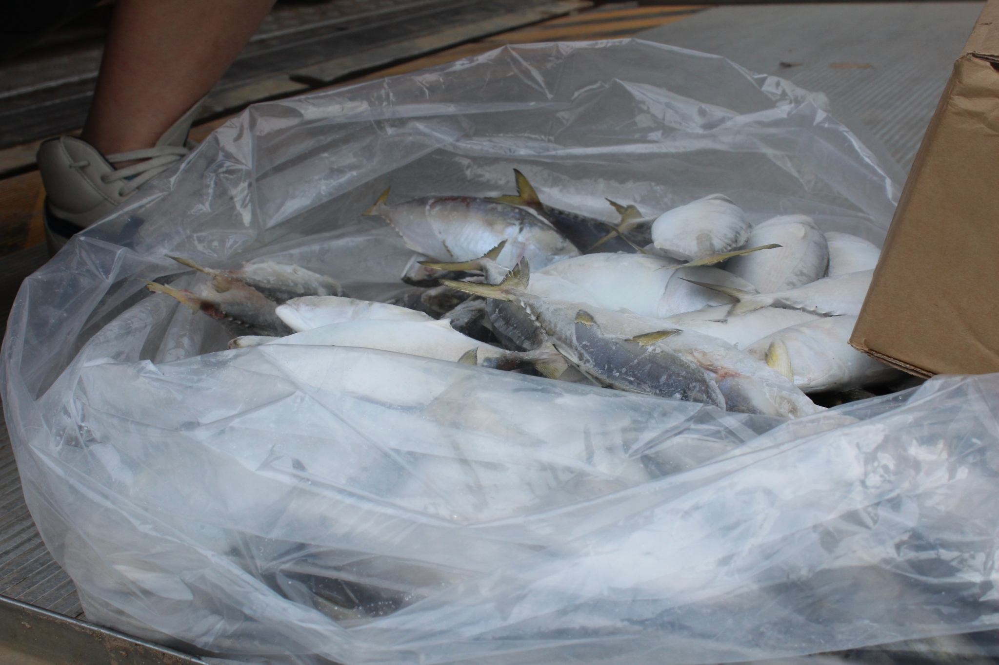 สินค้านำเข้าจากประเทศเมียนมา