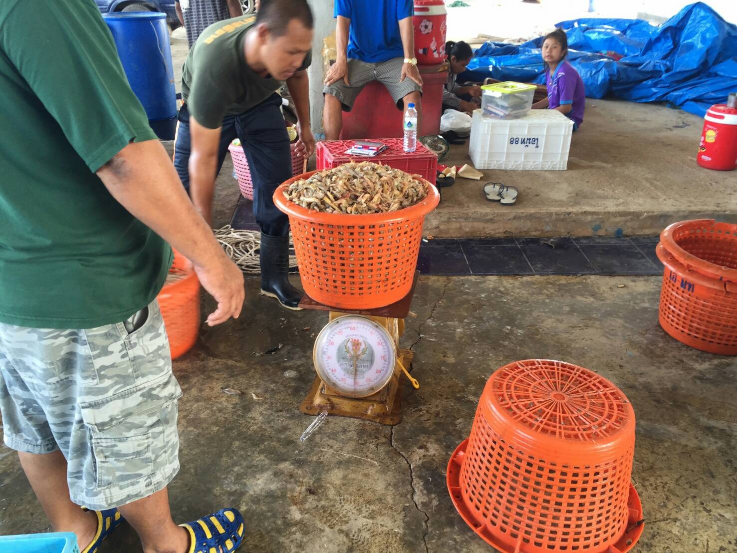 ข้าราชการศูนย์ควบคุมการแจ้งเข้า - ออกเรือประมง ตราด และเจ้าหน้าที่ตรวจสอบสัตว์น้ำหน้าท่า จัดทำมาตรฐานภาชนะแต่ละประเภทที่ใช้บรรจุสัตว์น้ำประจำแต่ละศูนย์ควบคุมการแจ้งเข้า - ออกเรือประมง ณ ท่าเทียบเรือในพื้นที่รับผิดชอบ..คลิก