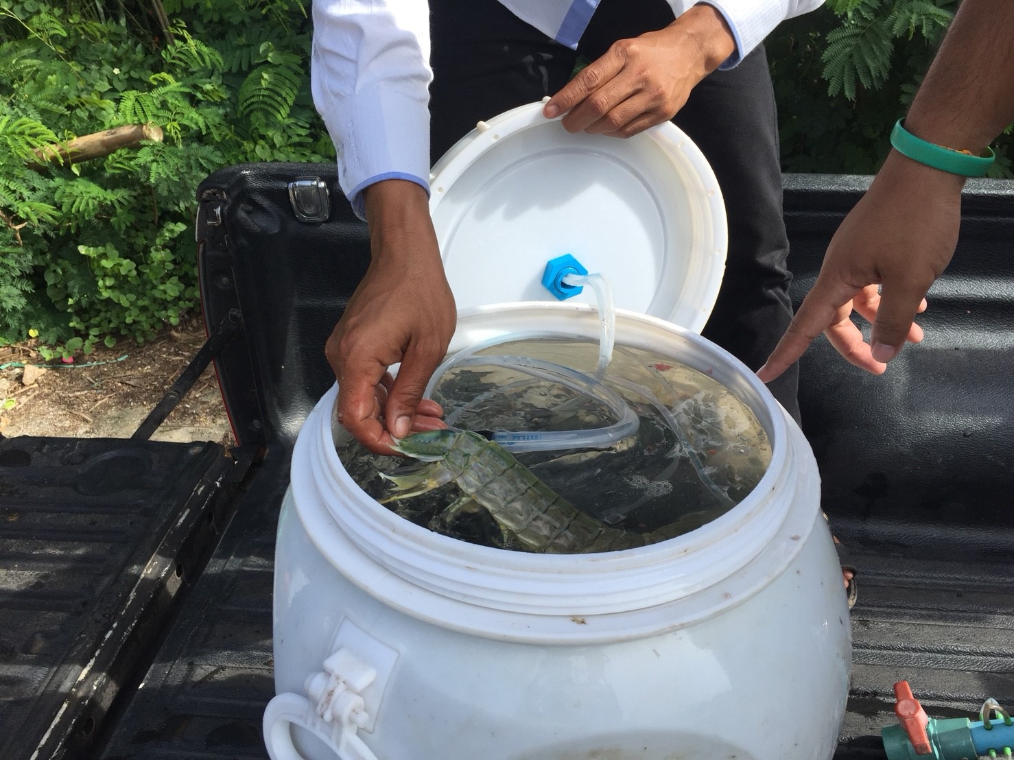 สินค้านำเข้าจากประเทศเมียนมา