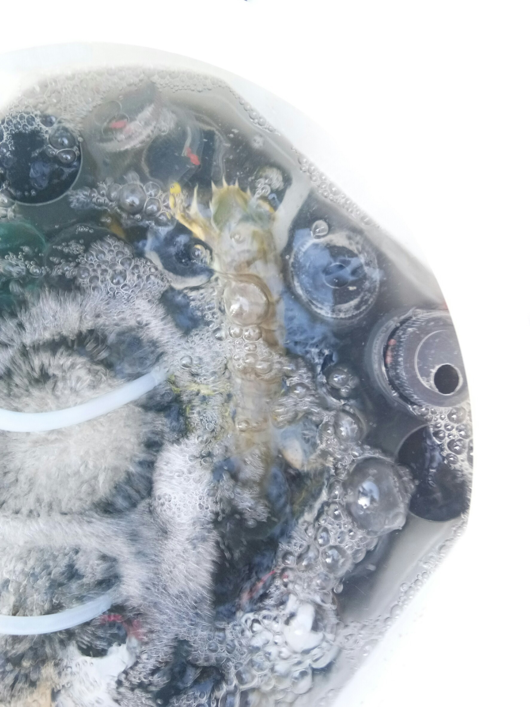 สินค้านำเข้าจากประเทศเมียนมา