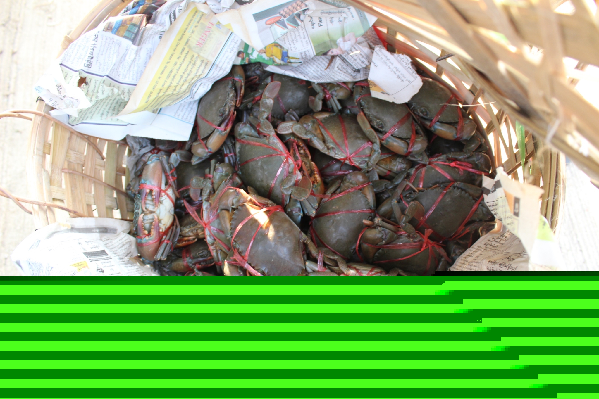 สินค้านำเข้าจากประเทศเมียนมา