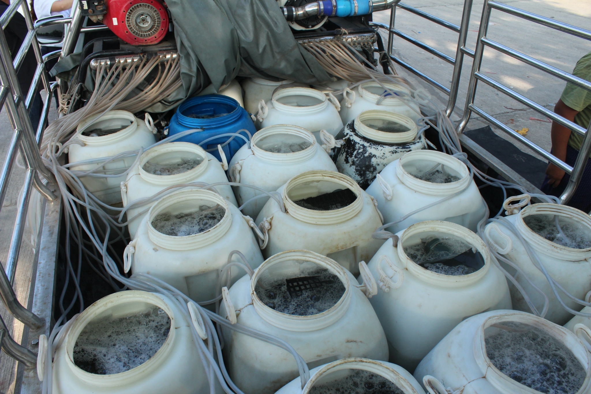 สินค้านำเข้าจากประเทศเมียนมา