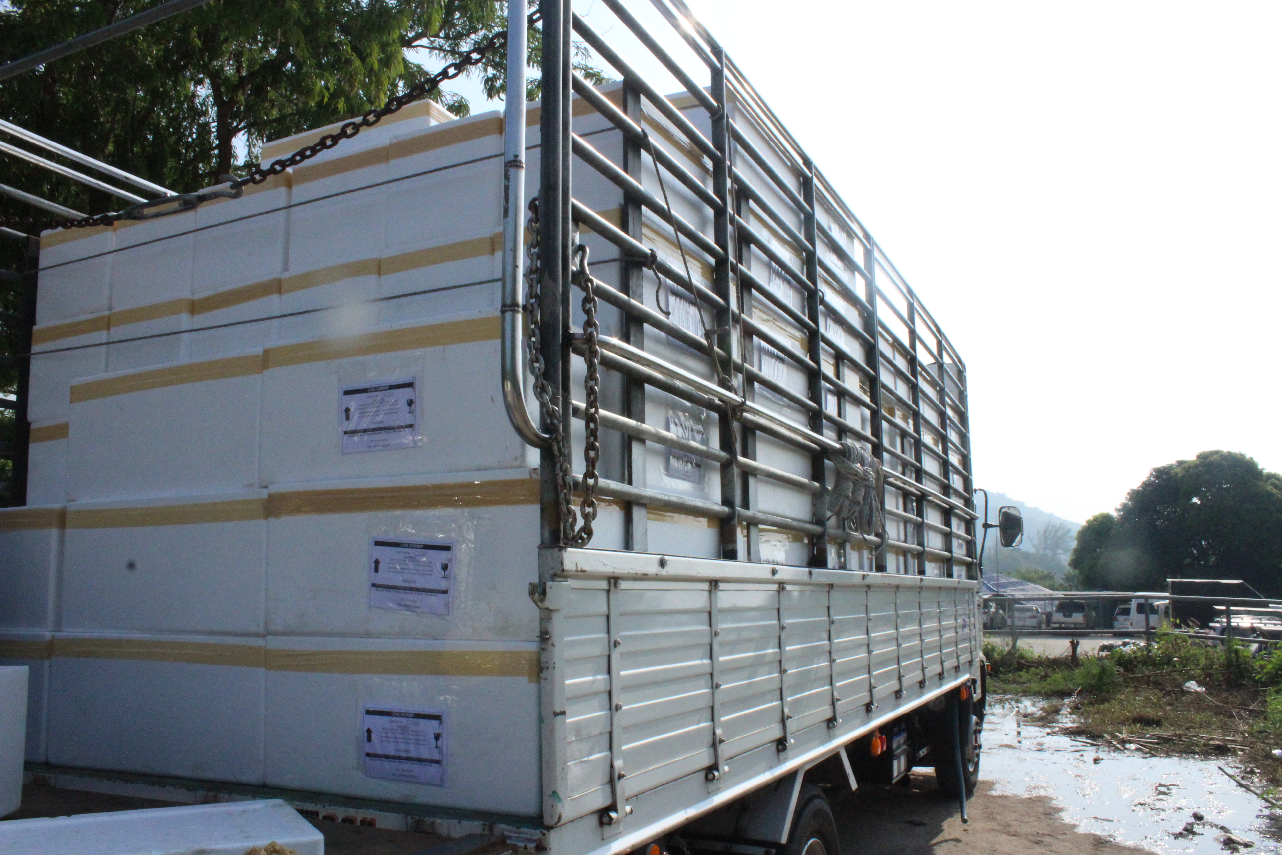 สินค้าส่งออกไปประเทศเมียนมา