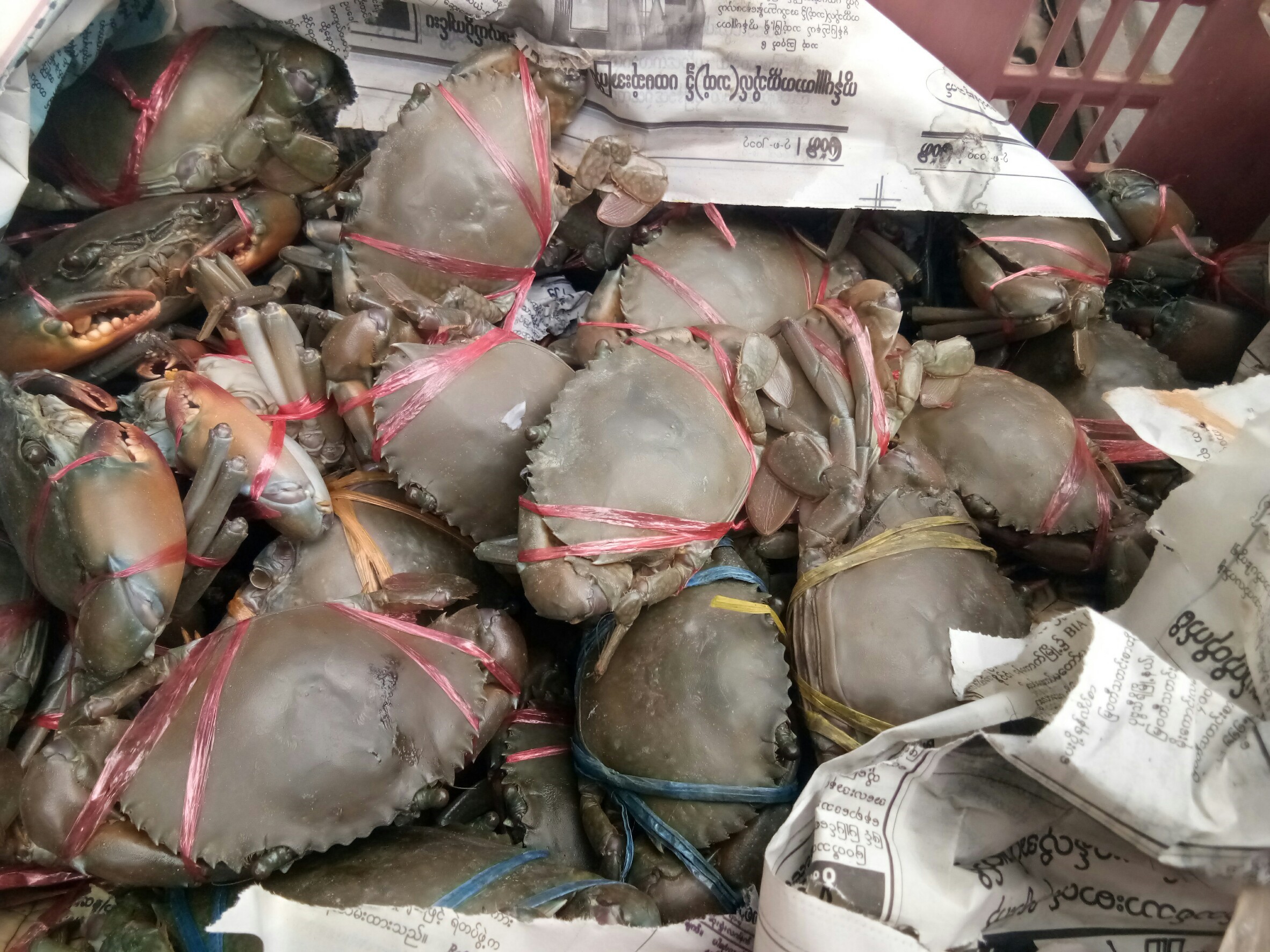 สินค้านำเข้าจากประเทศเมียนมา..คลิก