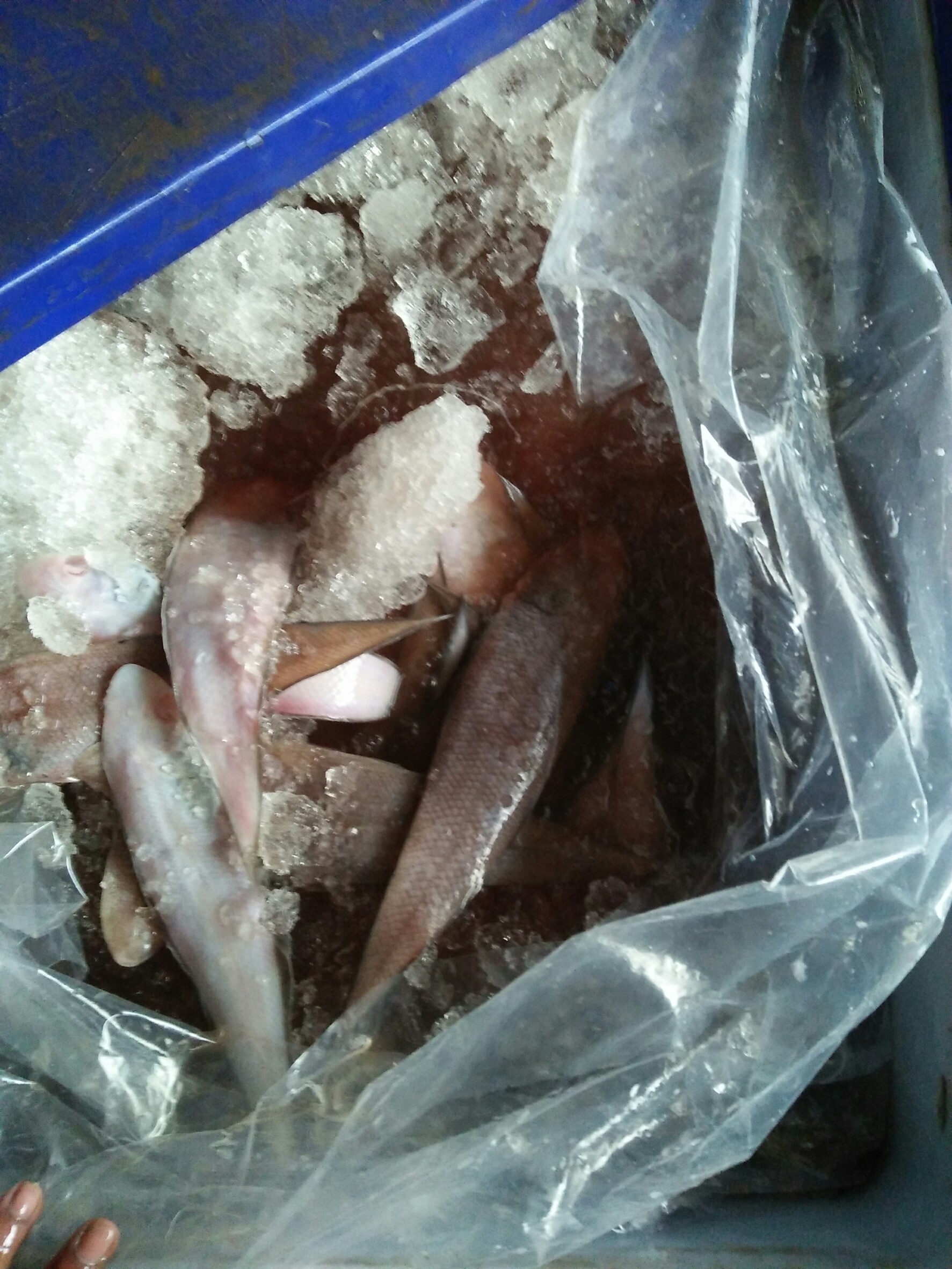 สินค้านำเข้าจากประเทศเมียนมา..คลิก