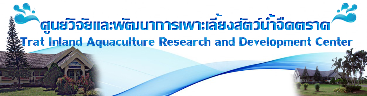 แบรนเนอ..คลิก