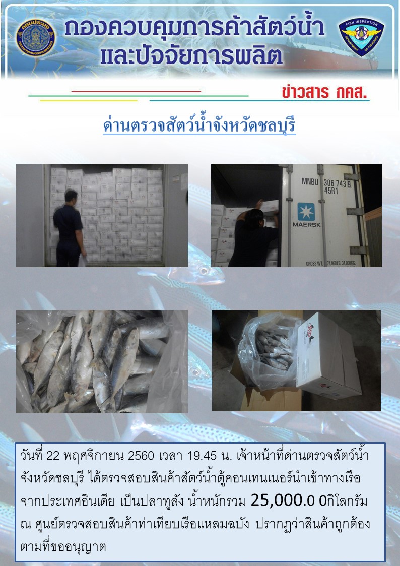 เจ้าหน้าที่ด่านตรวจสัตว์น้ำจังหวัดชลบุรี ตรวจสอบปลาทูลังจากประเทศอินเดีย  22 พ.ย. 2560