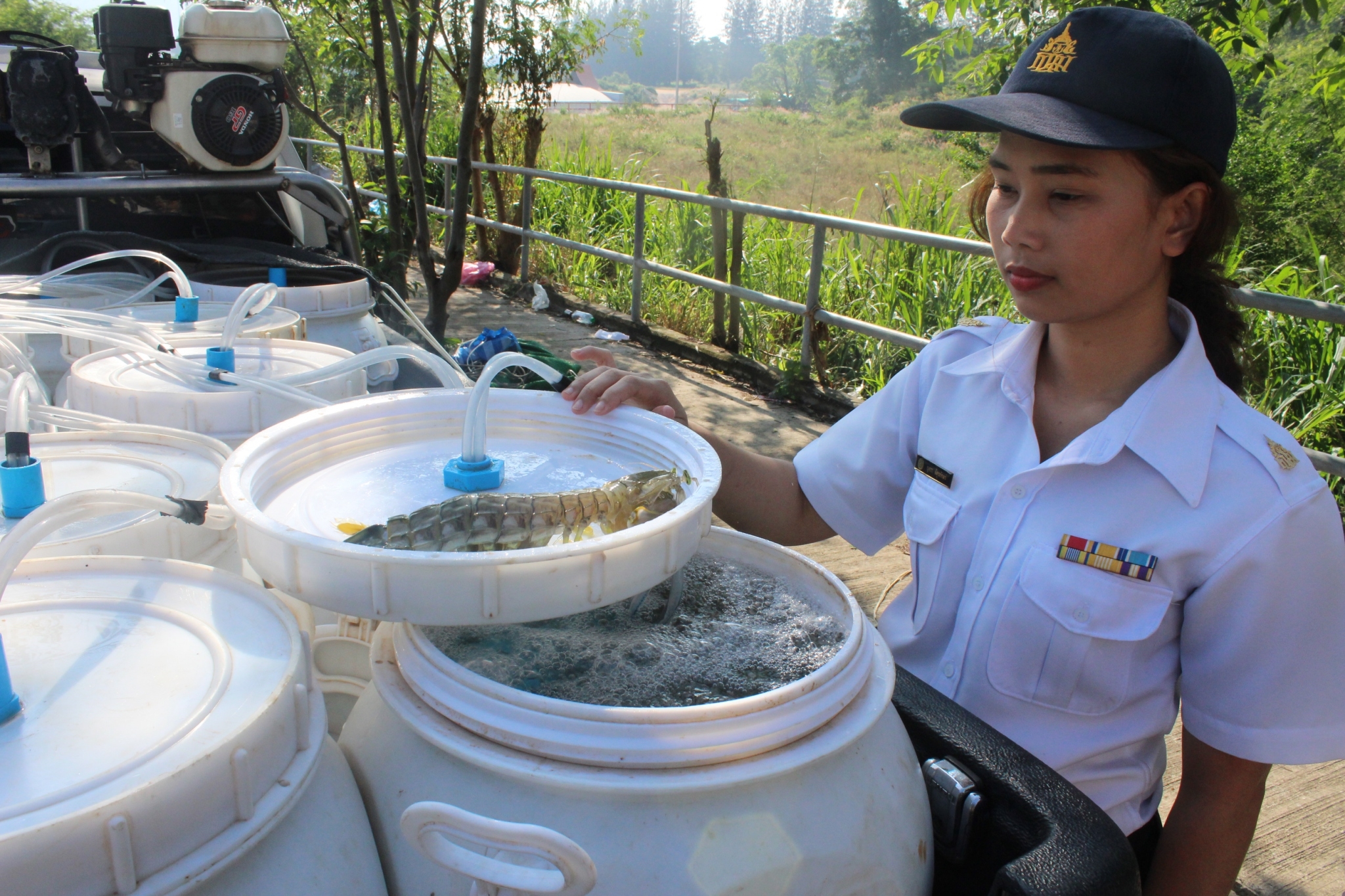 สินค้านำเข้าจากประเทศเมียนมา