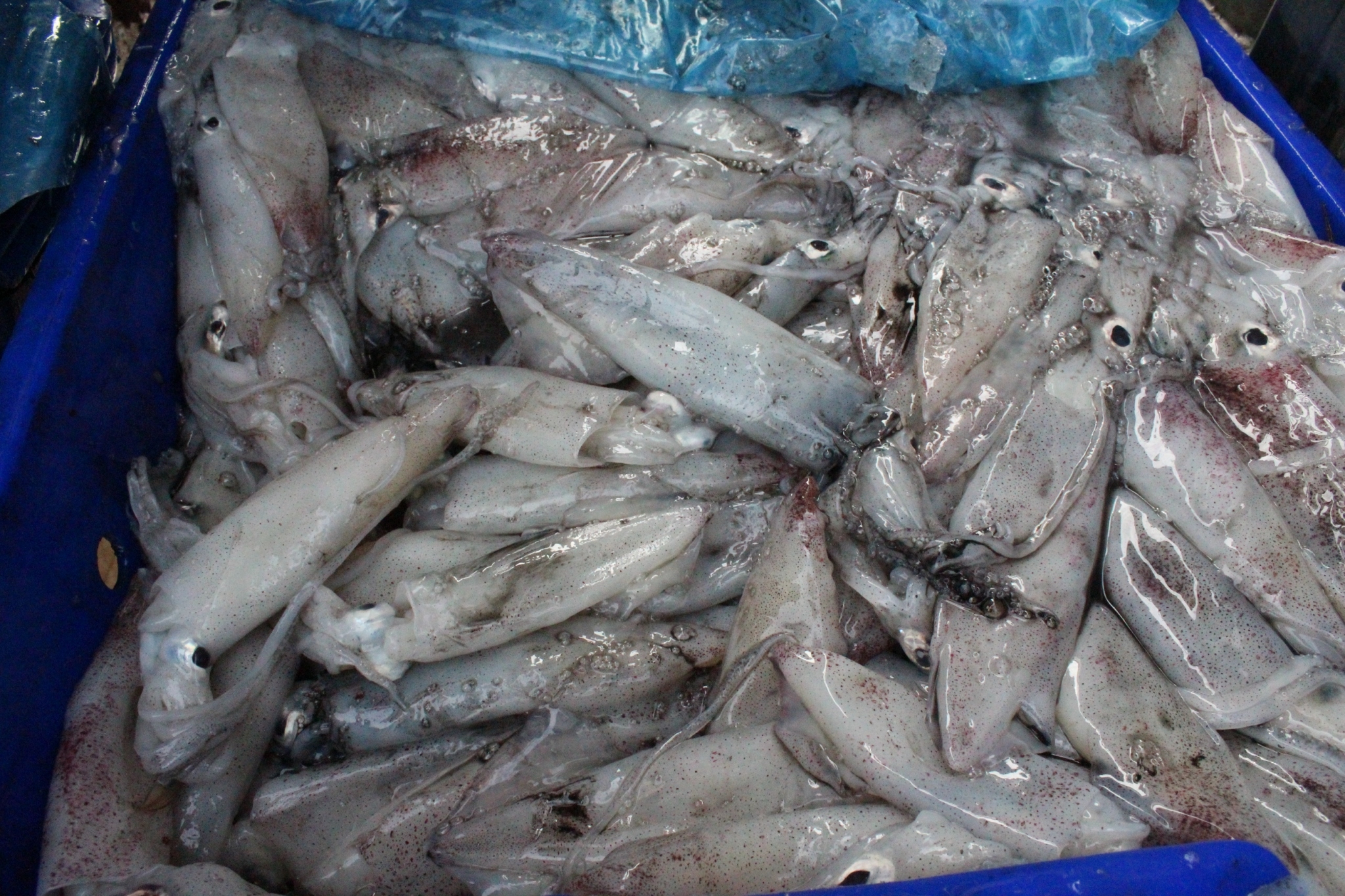 สินค้านำเข้าจากประเทศเมียนมา