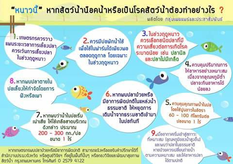 ฤดูหนาว สัตว์น้ำป่วยเป็นโรค......ต้องระวัง..คลิก