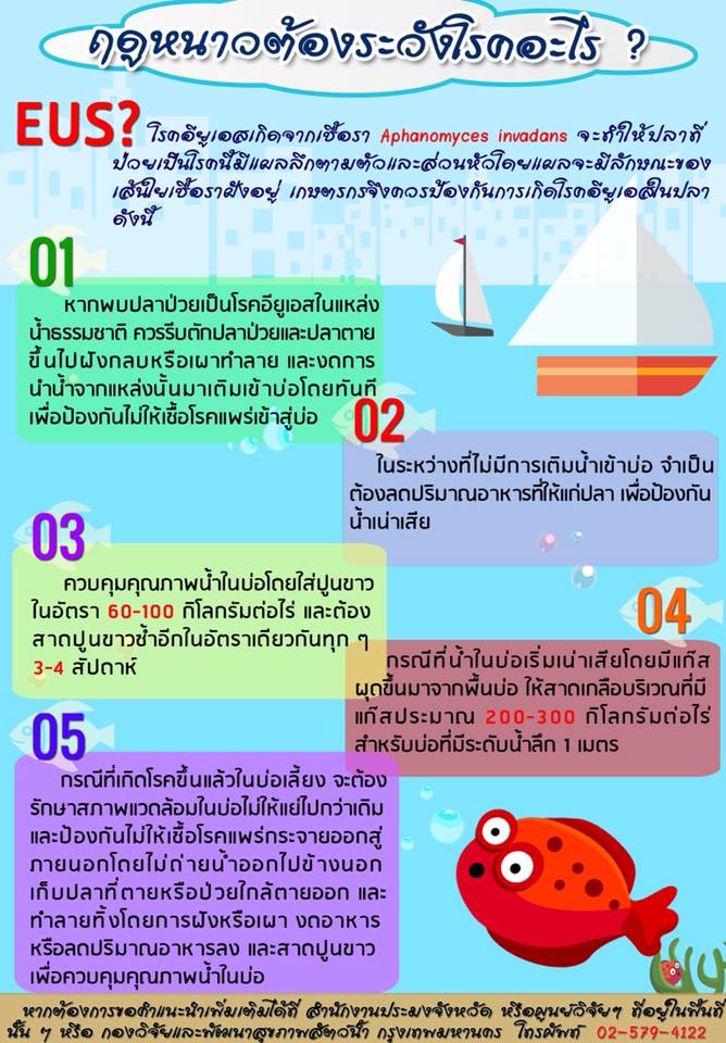 ฤดูหนาว สัตว์น้ำป่วยเป็นโรค......ต้องระวัง