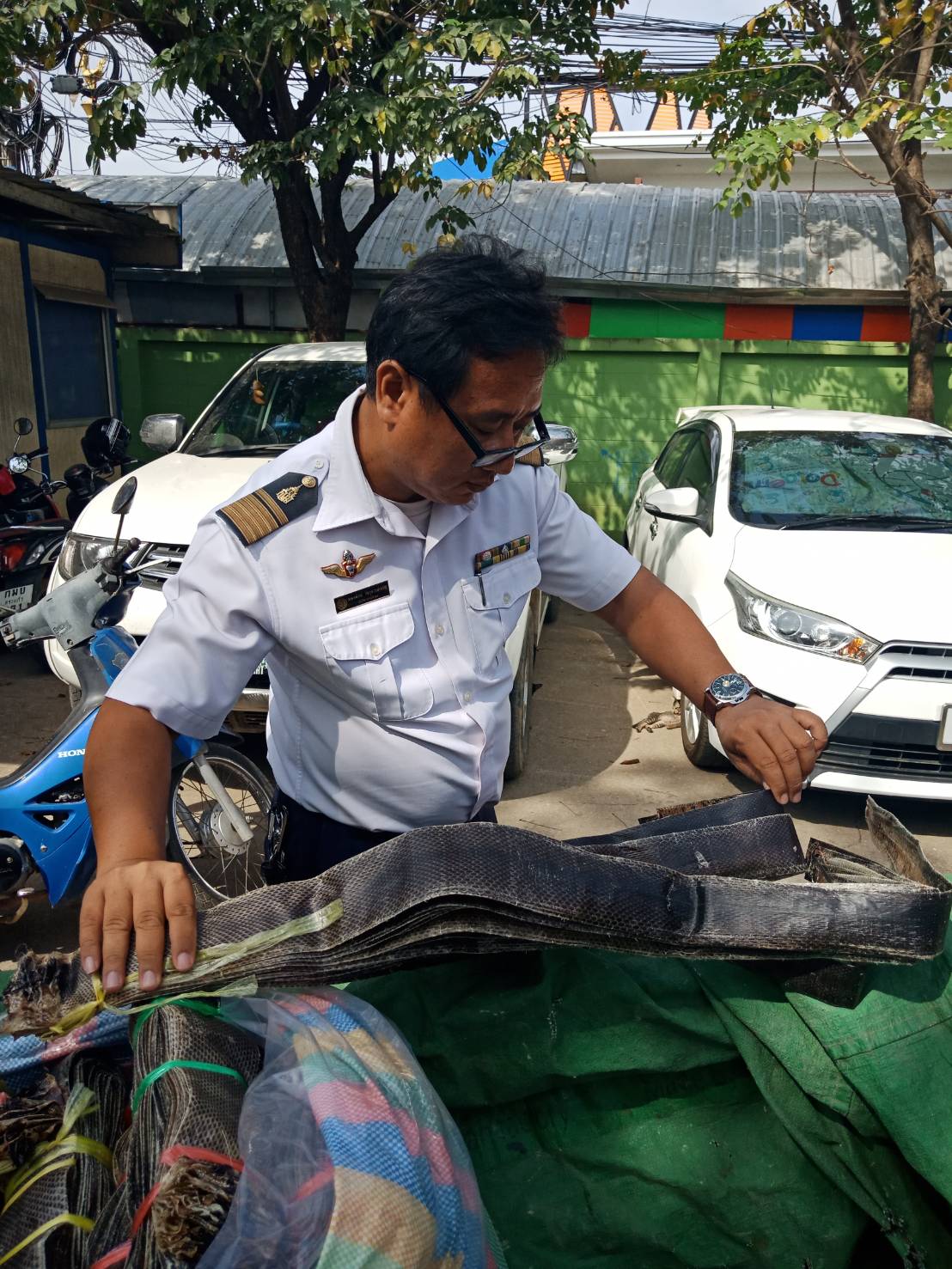 ตรวจสอบ “หนังงูหัวกะโหลก” นำเข้ามาจากประเทศกัมพูชา..คลิก