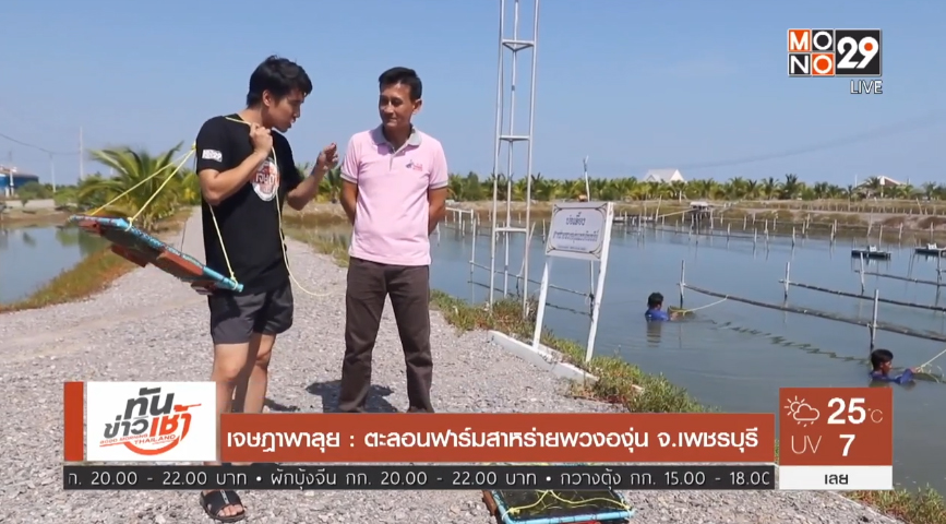 เจษฎาพาลุย : ตะลอนฟาร์มสาหร่ายพวงองุ่น จ.เพชรบุรี
