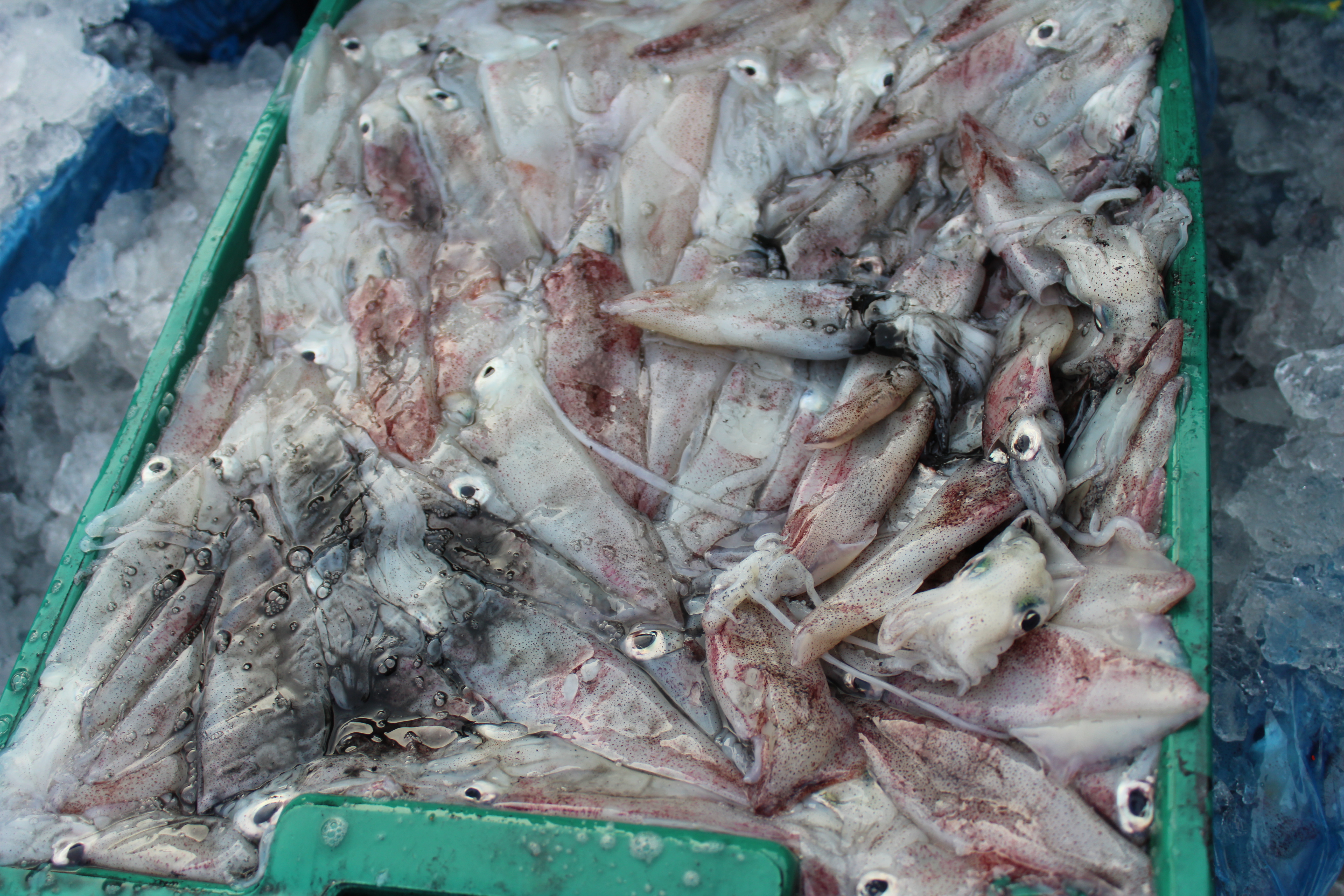 สินค้านำเข้าจากประเทศเมียนมา