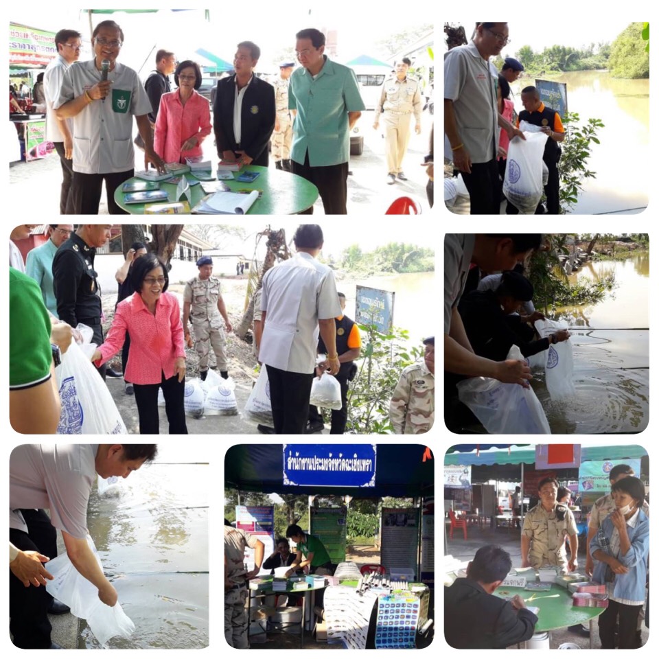 โครงการ 