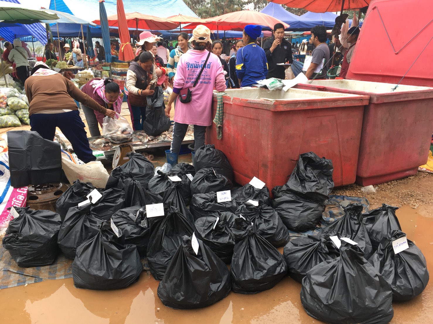 ตรวจป้องกันการลักลอบค้าสัตว์น้ำที่ผิดกฎหมาย ณ ตลาดการค้าชายแดน จุดผ่อนปรนบ้านแจมป๋อง..คลิก