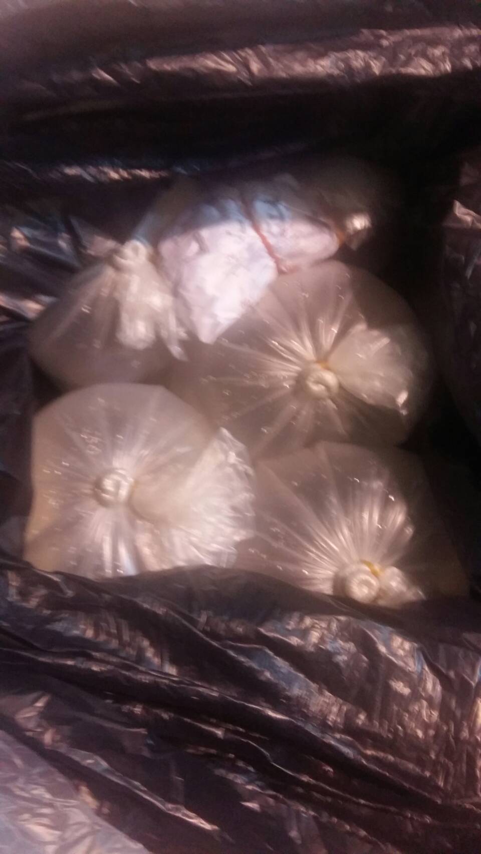 ด่านตรวจสัตว์นำ้ท่าอากาศยานดอนเมือง ตรวจสอบสินค้าสัตว์นำ้ส่งออก..คลิก