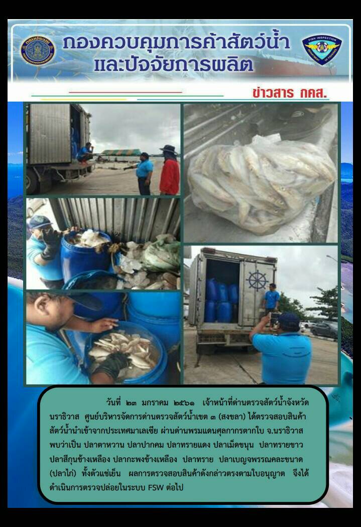 ประชาสัมพันธ์ ประจำวันที่ 23 มกราคม 2561..คลิก