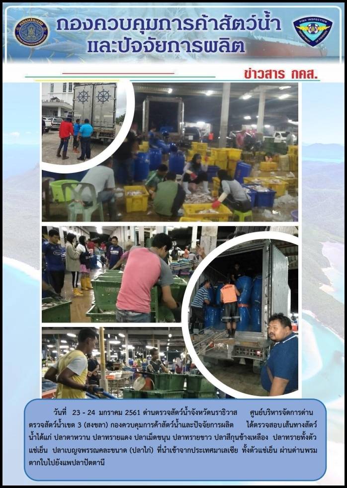 ประชาสัมพันธ์ ประจำวันที่ 24 มกราคม 2561..คลิก