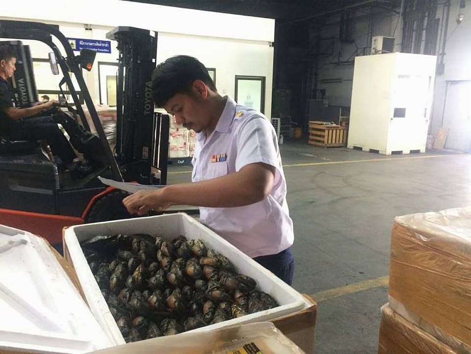 ด่านตรวจสัตว์นำ้ท่าอากาศยานดอนเมือง ตรวจสอบสินค้าสัตว์นำ้นำเข้า..คลิก