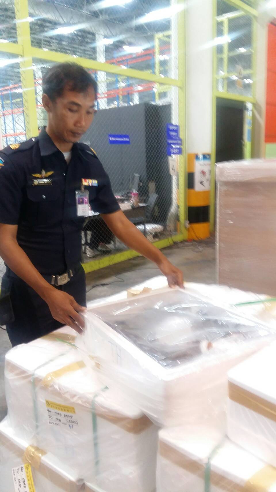 ด่านตรวจสัตว์นำ้ท่าอากาศยานดอนเมือง ตรวจสอบสินค้าสัตว์นำ้ส่งออก..คลิก
