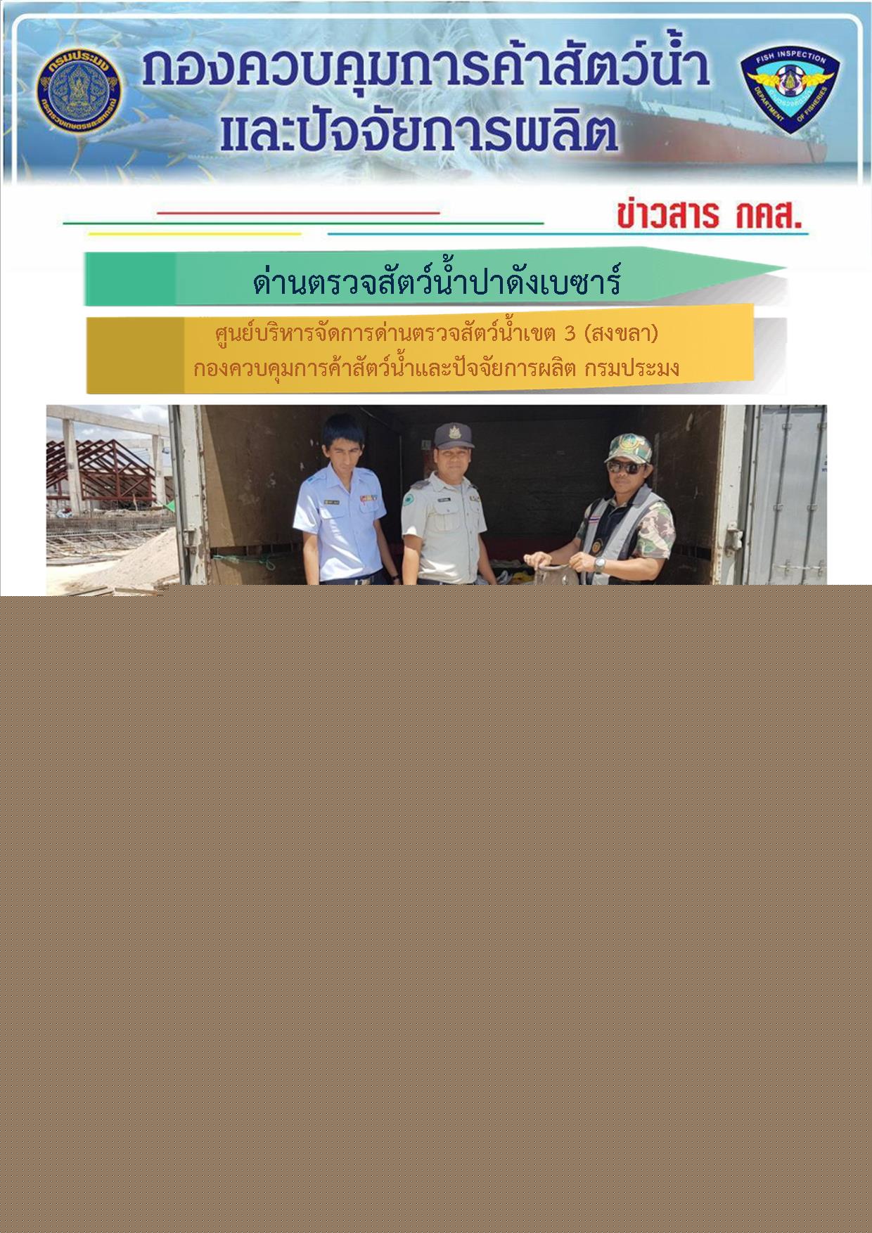 ปลาทูลัง และหนังปลากระเบน นำเข้าผ่านด่านตรวจสัตว์น้ำปาดังเบซาร์..คลิก