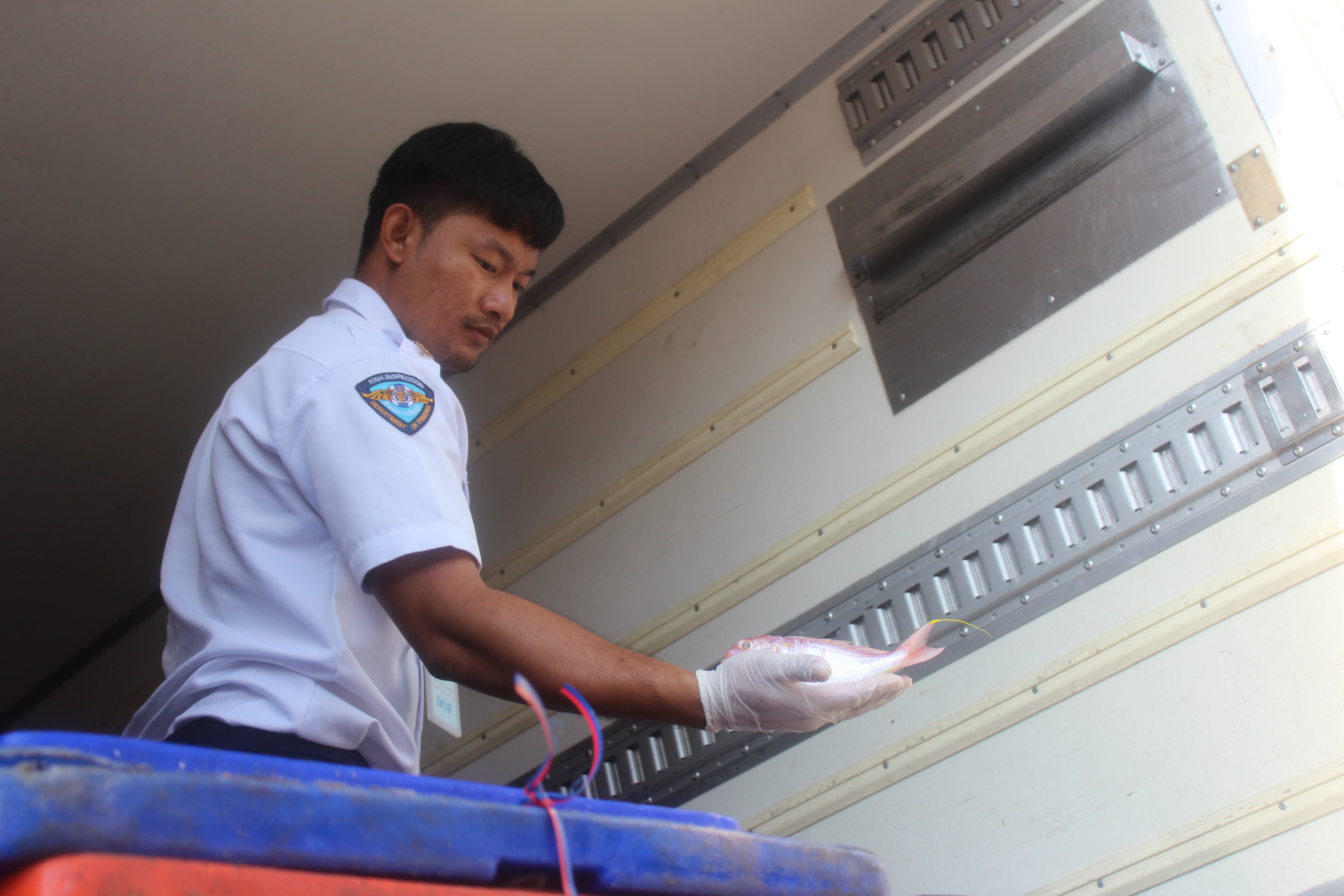 สินค้านำเข้าจากประเทศเมียนมา