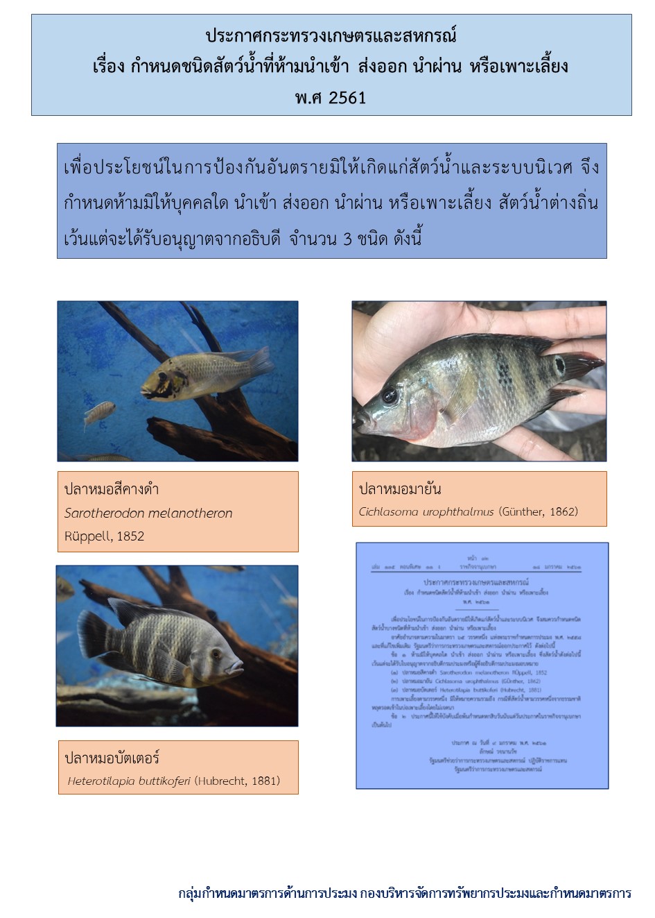 ประกาศกระทรวงเกษตรและสหกรณ์ เรื่องกำหนดชนิดสัตว์น้ำที่ห้ามนำเข้า ส่งออก นำผ่าน หรือเพาะเลี้ยง พศ.2561..คลิก