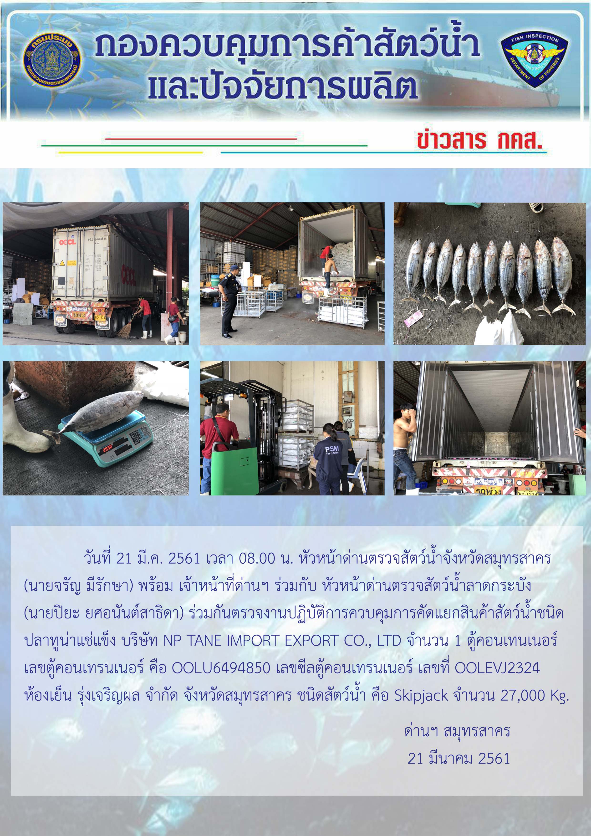 ปฏิบัติงานตรวจสอบการคัดแยกชนิดสินค้าสัตว์น้ำจากตู้คอนเทนเนอร์..คลิก