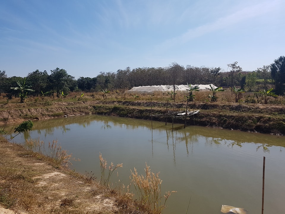 (Zoning by Agri-Map)..คลิก