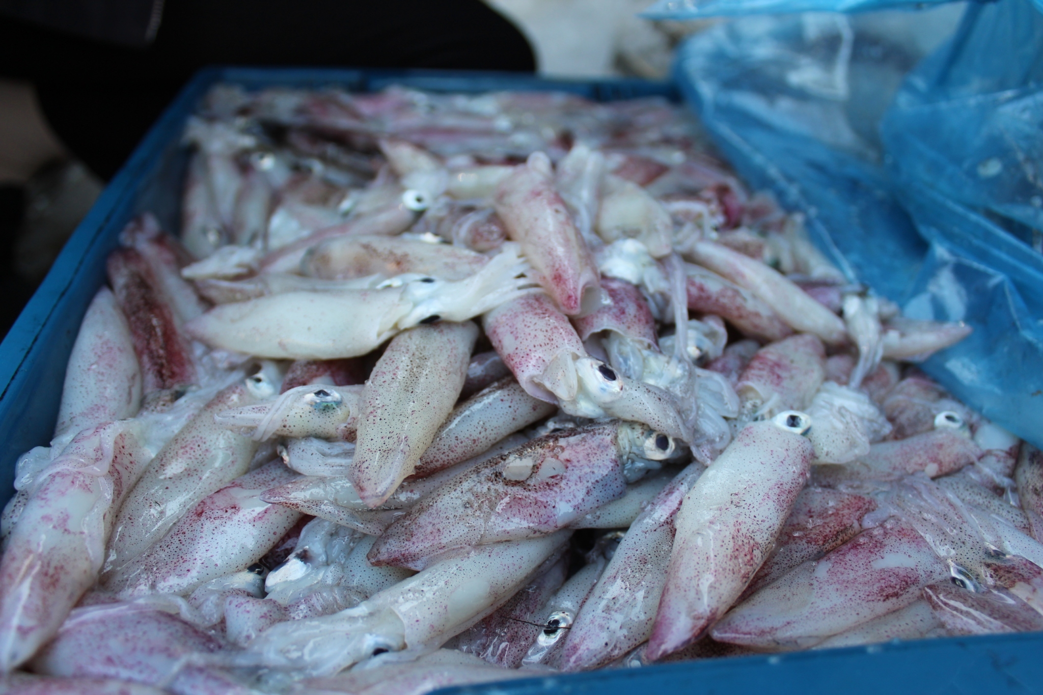 สินค้านำเข้าจากประเทศเมียนมา..คลิก
