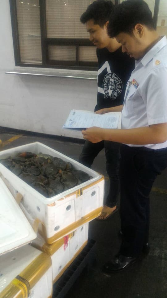 ด่านตรวจสัตว์นำ้ท่าอากาศยานดอนเมือง ตรวจสอบสินค้าสัตว์นำ้นำเข้า..คลิก