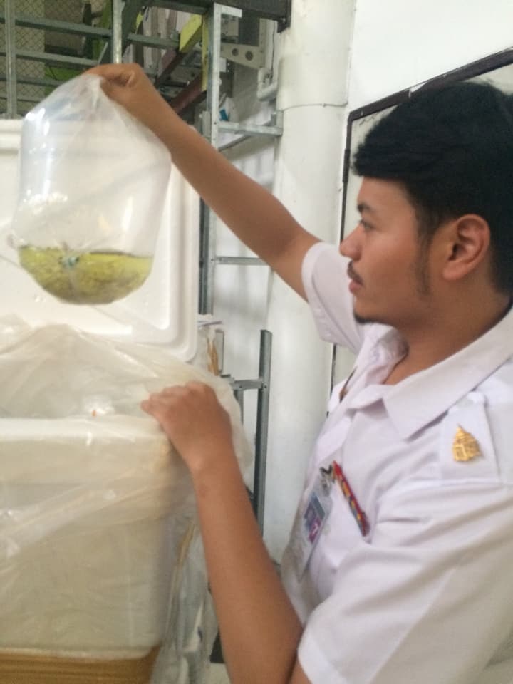 ด่านตรวจสัตว์นำ้ท่าอากาศยานดอนเมือง ตรวจสอบสินค้าสัตว์นำ้นำเข้า..คลิก