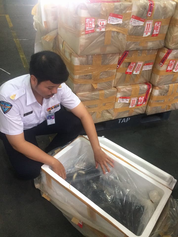 ด่านตรวจสัตว์นำ้ท่าอากาศยานดอนเมือง ตรวจสอบสินค้าสัตว์นำ้นำเข้า..คลิก