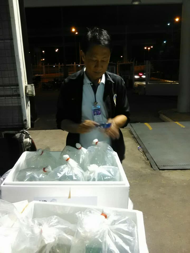 ด่านตรวจสัตว์นำ้ท่าอากาศยานดอนเมือง ตรวจสอบสินค้าสัตว์นำ้ส่งออก..คลิก