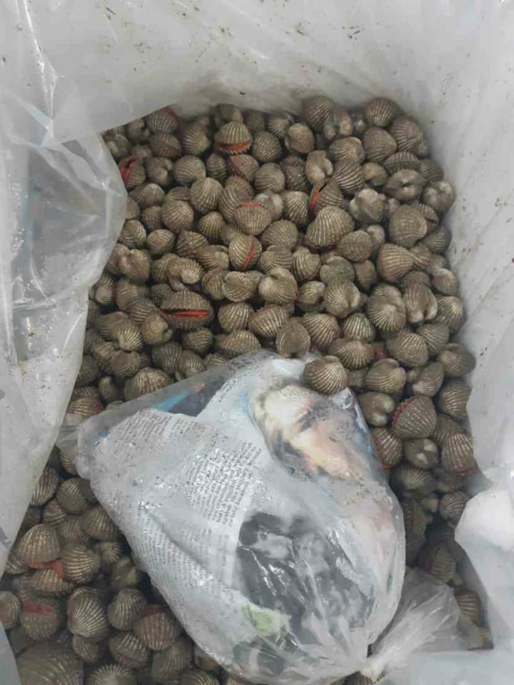 ด่านตรวจสัตว์นำ้ท่าอากาศยานดอนเมือง ตรวจสอบสินค้าสัตว์นำ้นำเข้า..คลิก