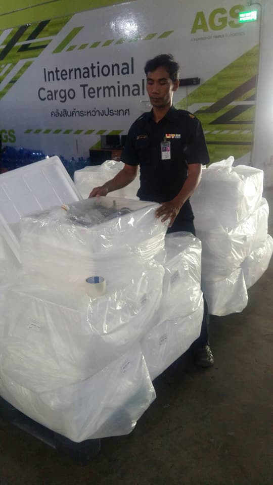 ด่านตรวจสัตว์นำ้ท่าอากาศยานดอนเมือง ตรวจสอบสินค้าสัตว์นำ้ส่งออก..คลิก