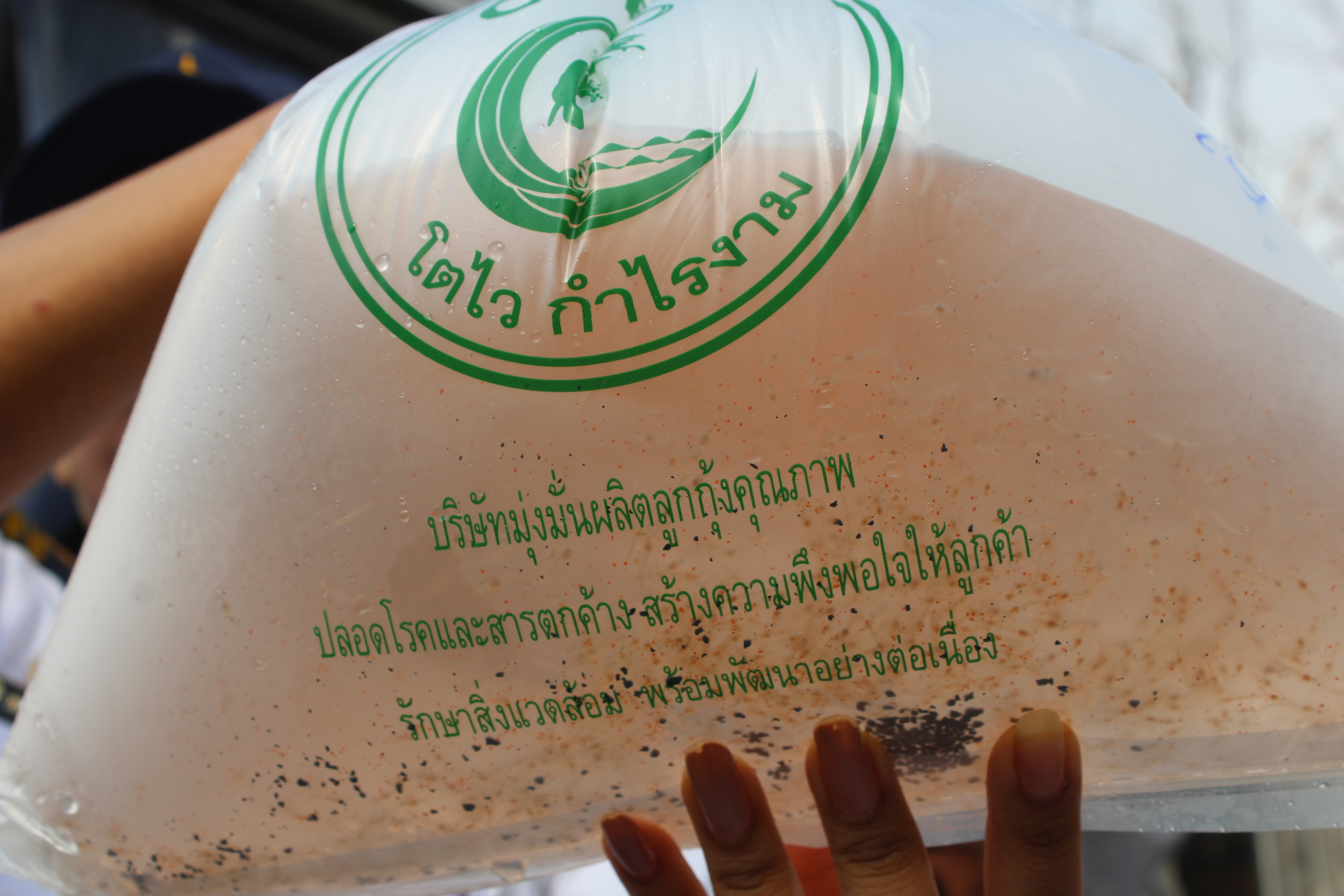 สินค้าส่งออกไปยังประเทศเมียนมา