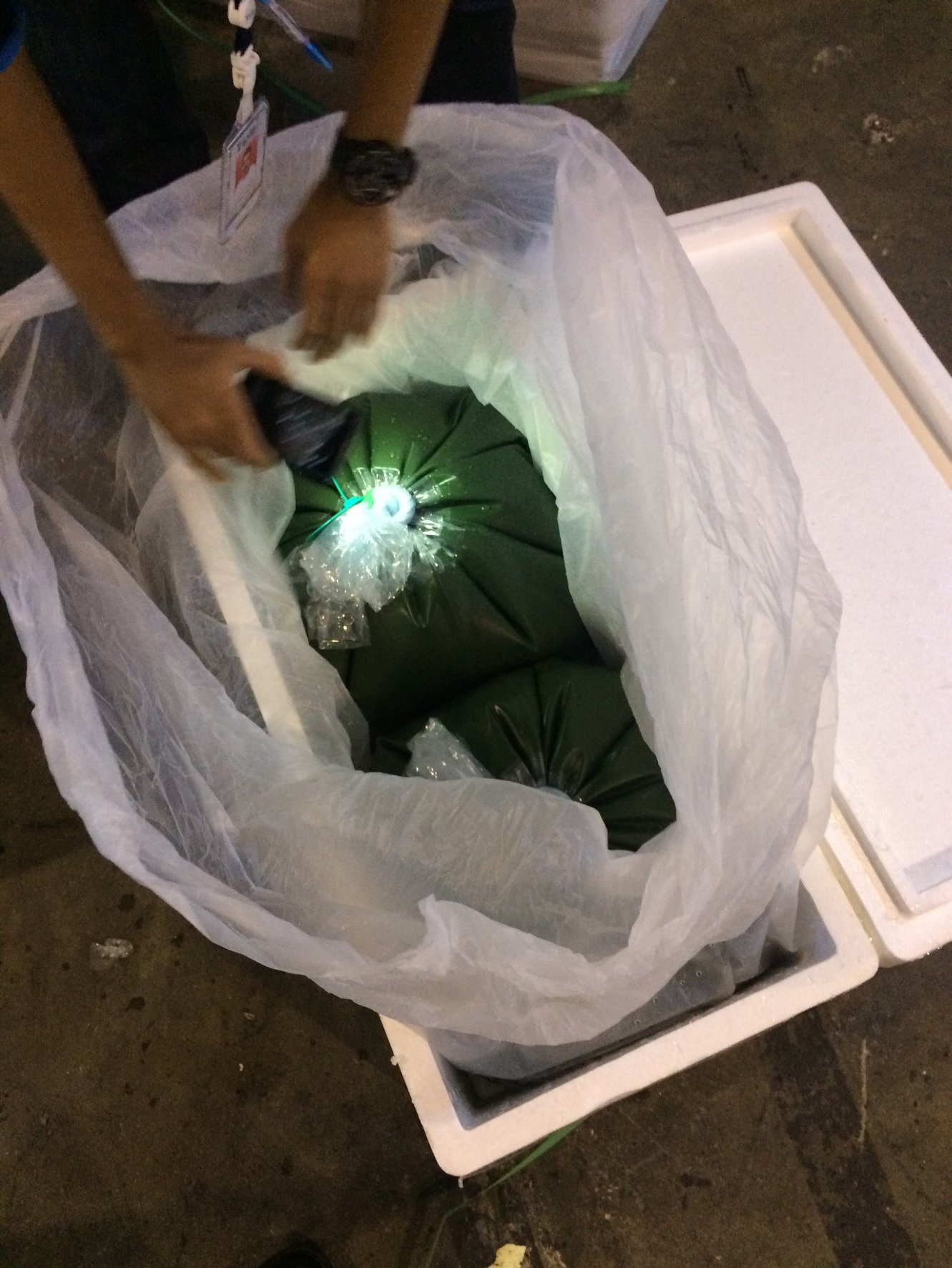 ด่านตรวจสัตว์นำ้ท่าอากาศยานดอนเมือง ตรวจสอบสินค้าสัตว์นำ้ส่งออก..คลิก