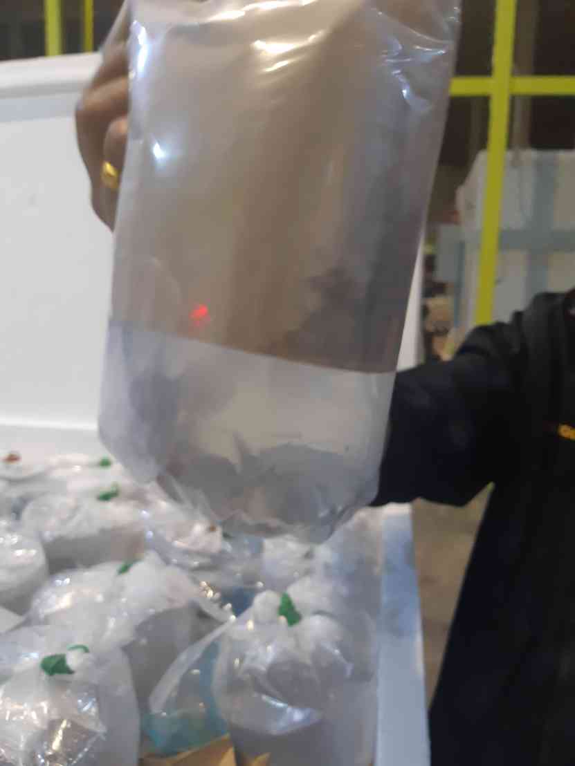 ด่านตรวจสัตว์นำ้ท่าอากาศยานดอนเมือง ตรวจสอบสินค้าสัตว์นำ้ส่งออก..คลิก