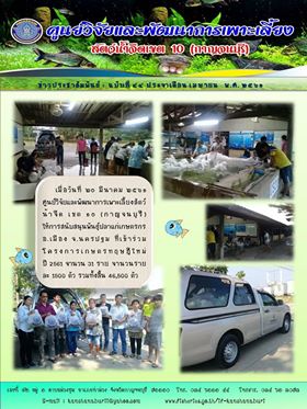 สนับสนุนพันธุ์ปลาเเก่เกษตรกร อ.เมือง จ.นครปฐม..คลิก