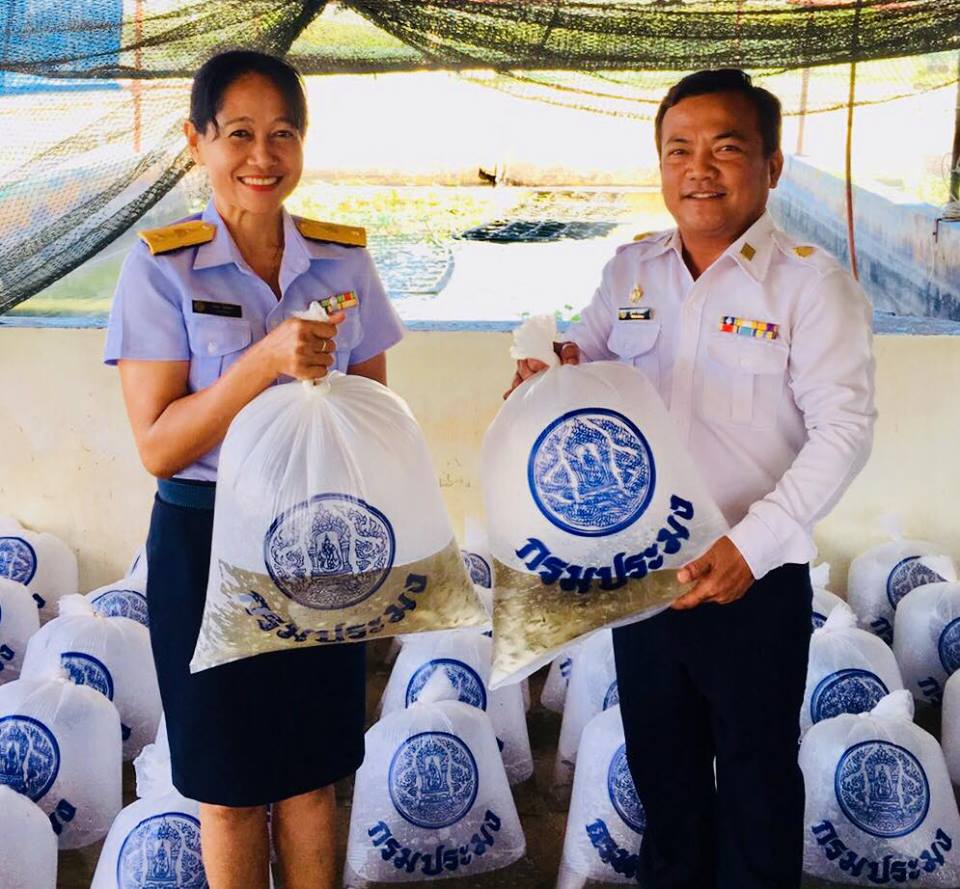 มอบพันธุ์สัตว์น้ำโครงการเกษตรทฤษฎีใหม่..คลิก