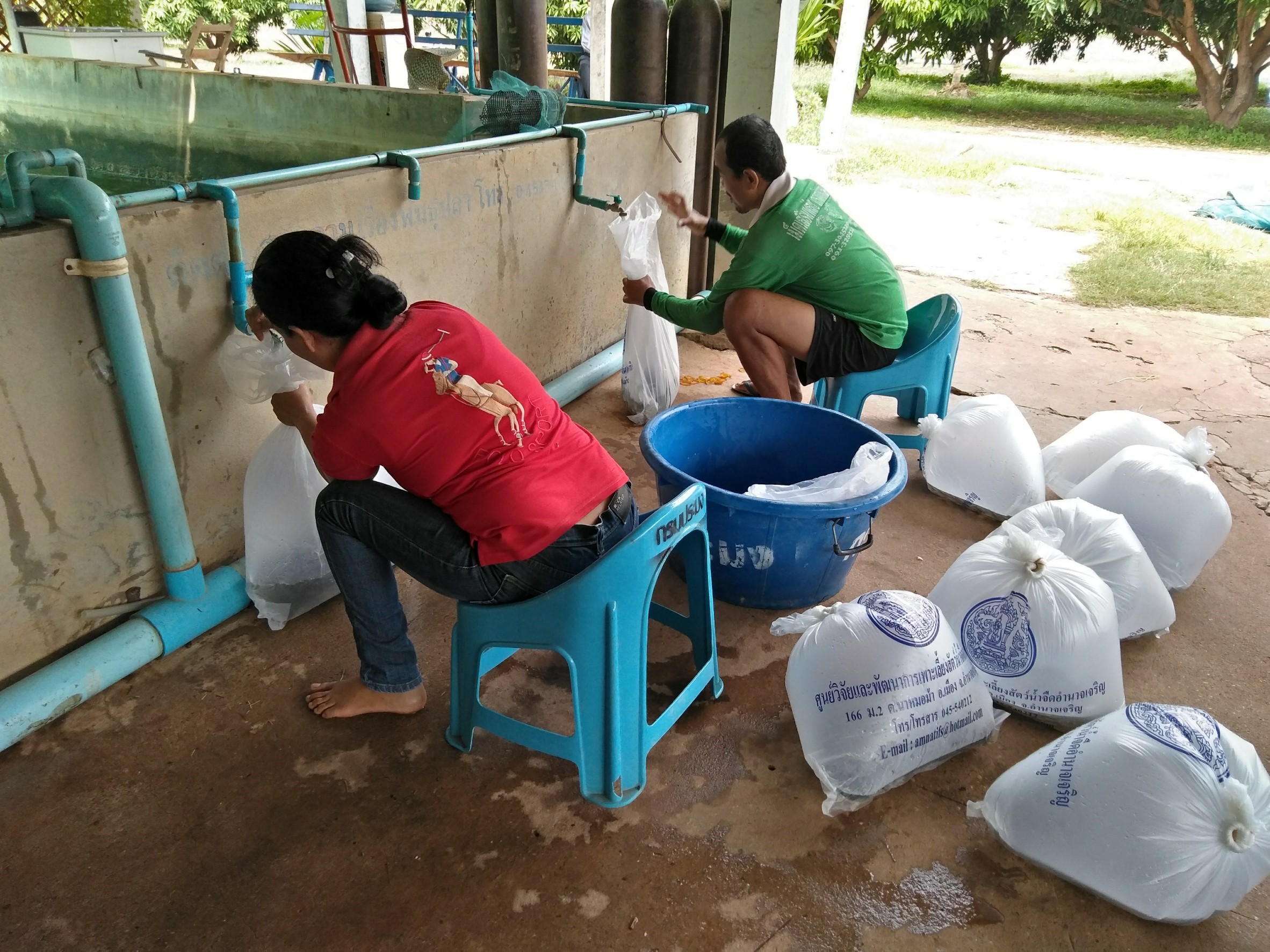 มอบการสนับสนุนพันธุ์ปลาน้ำจืด (ปลานิล และปลาตะเพียน) ขนาด 5 เซนติเมตร ตามโครงการพัฒนาเกษตรอินทรีย์..คลิก