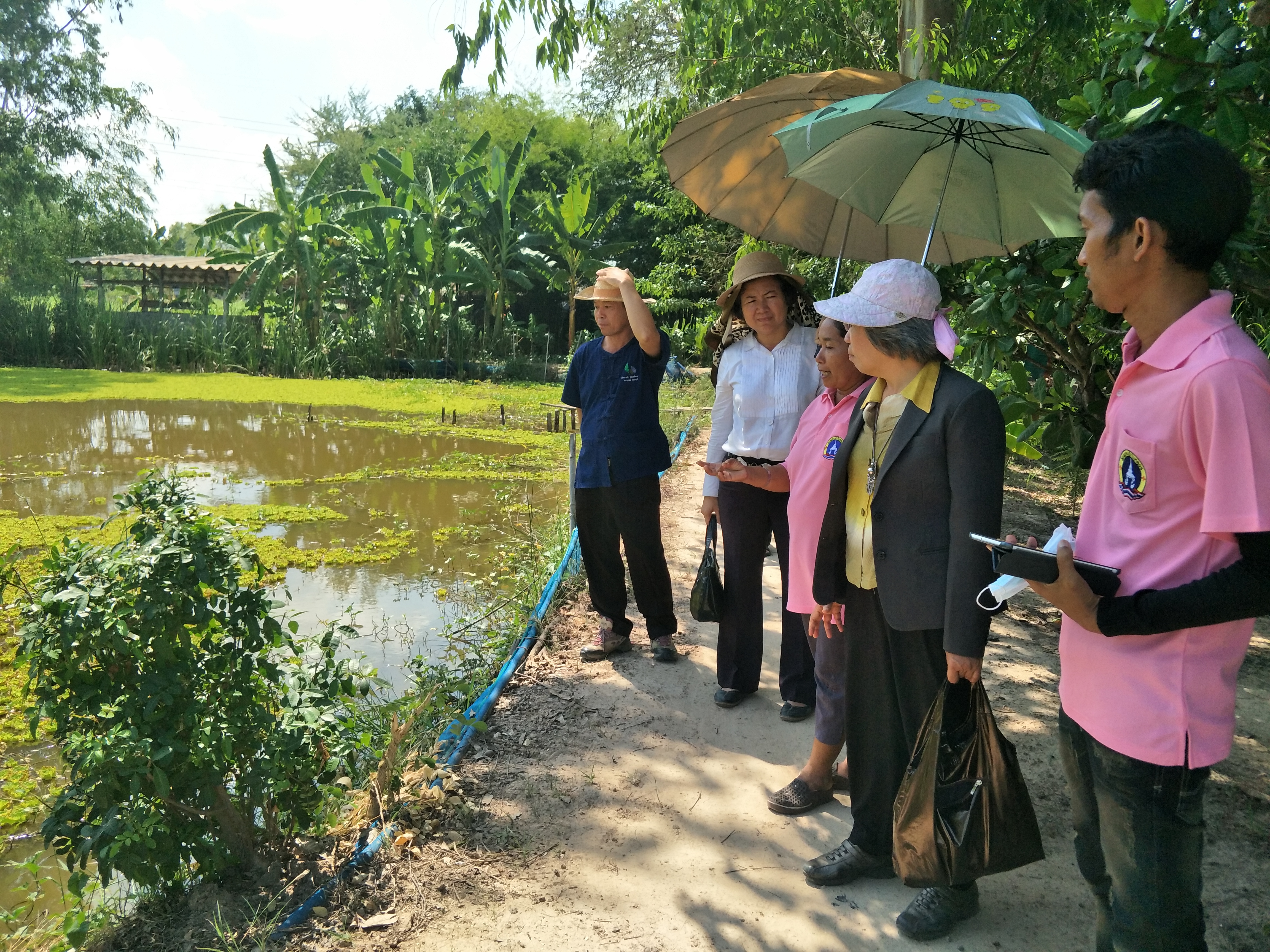 ผู้ตรวจราชการกรมประมง เขต 1 ลงพื้นที่ติดตามงาน โครงการศูนย์เรียนรู้การเพิ่มประสิทธิภาพการผลิตสินค้าประมง (ศพก.)  จังหวัดสระบุรี..คลิก