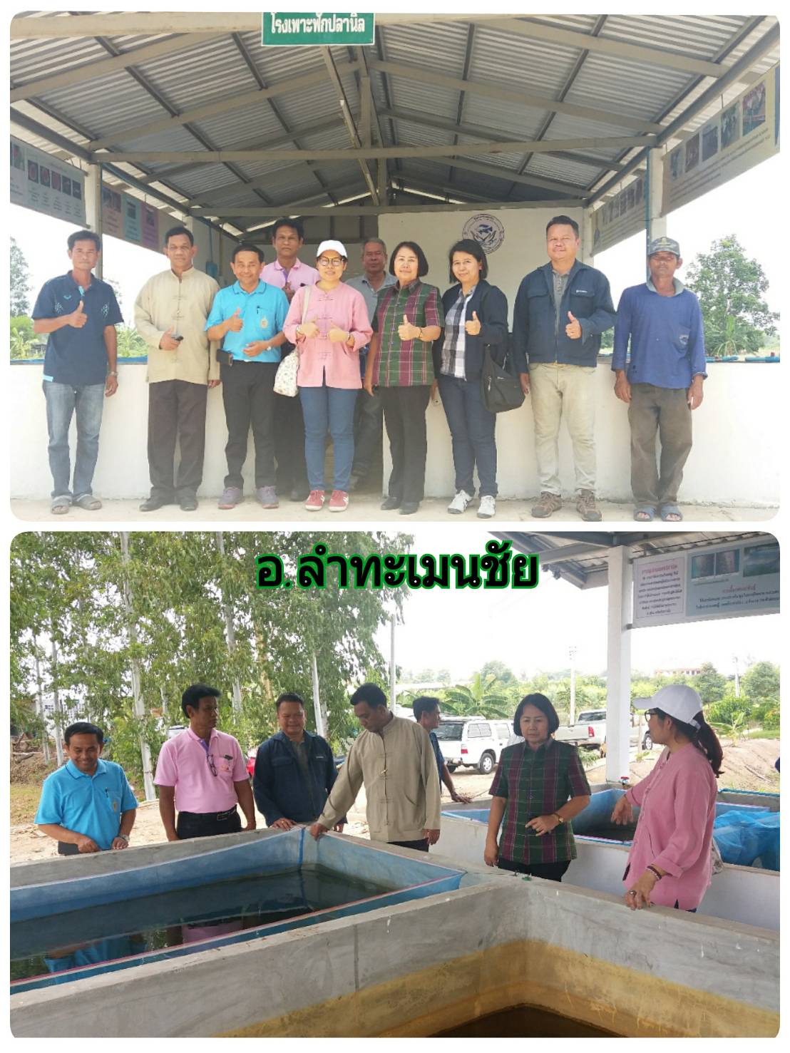 ประชุมหารือแนวทางการพัฒนาศักยภาพกลุ่มเกษตรกร อำเภอลำทะเมนชัย..คลิก