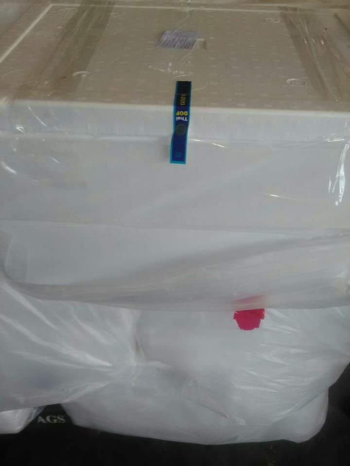 ด่านตรวจสัตว์นำ้ท่าอากาศยานดอนเมือง ตรวจสอบสินค้าสัตว์นำ้ส่งออก..คลิก