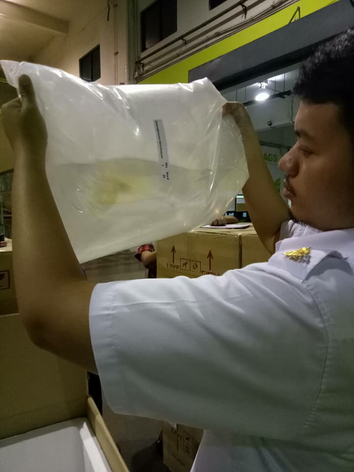 ด่านตรวจสัตว์นำ้ท่าอากาศยานดอนเมือง ตรวจสอบสินค้าสัตว์นำ้นำเข้า..คลิก