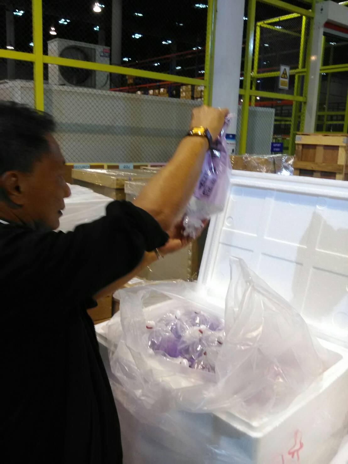 ด่านตรวจสัตว์นำ้ท่าอากาศยานดอนเมือง ตรวจสอบสินค้าสัตว์นำ้ส่งออก..คลิก