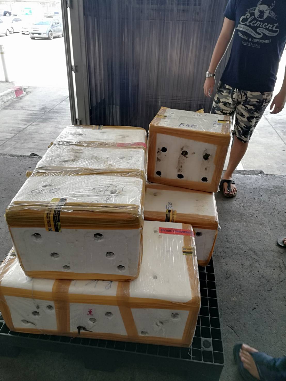 ด่านตรวจสัตว์นำ้ท่าอากาศยานดอนเมือง ตรวจสอบสินค้าสัตว์นำ้นำเข้า..คลิก