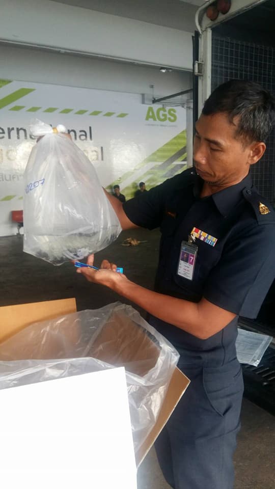 ด่านตรวจสัตว์นำ้ท่าอากาศยานดอนเมือง ตรวจสอบสินค้าสัตว์นำ้ส่งออก..คลิก